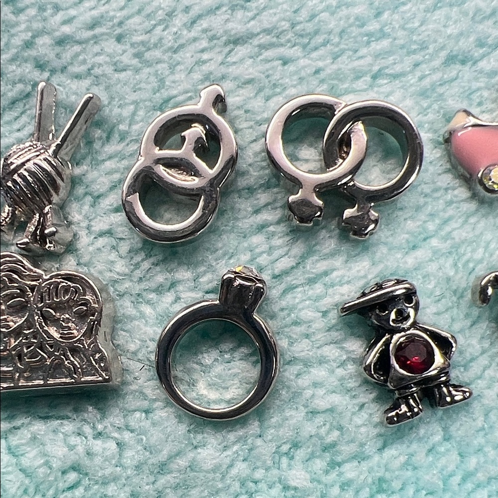 Floating Locket Charms : Family theme - Picture 4 of 5
